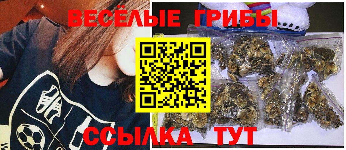 Галлюциногенные грибы Psilocybe Белая Калитва